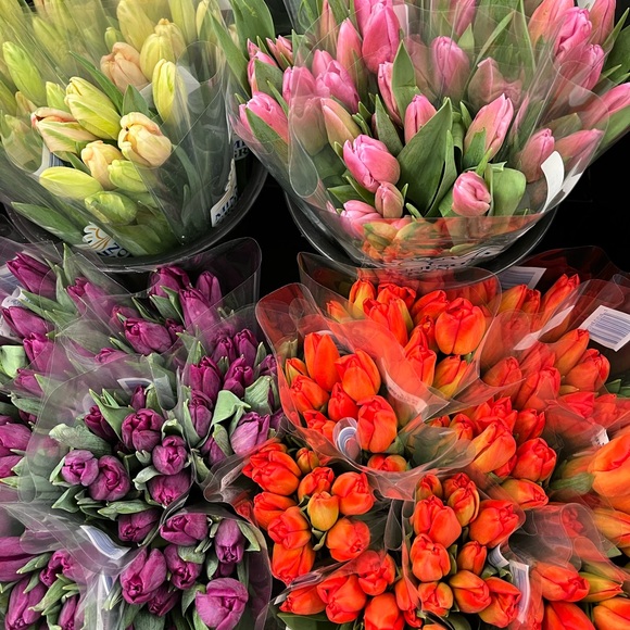 Meet your Posher, Kaitlin - Picture 2 of 3